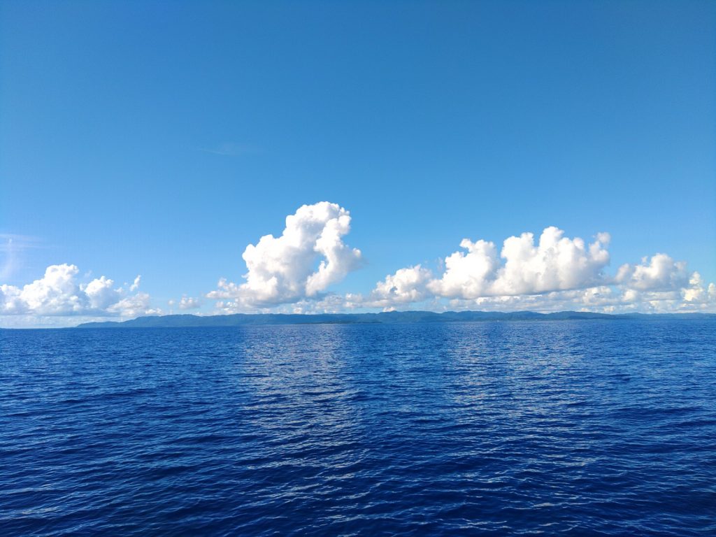 海から眺める西表島
